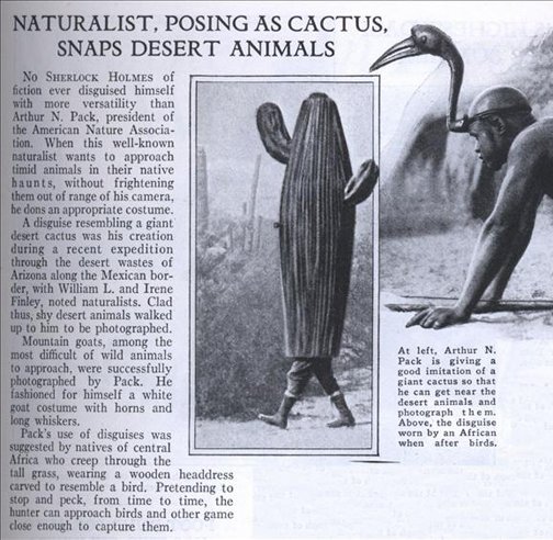 fashion-oldies-naturalists